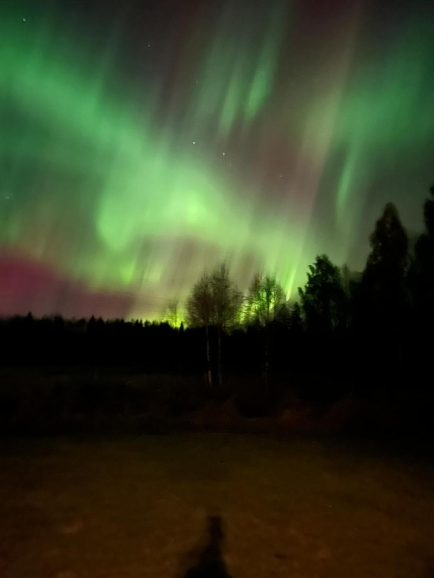 Villa Nightsky Rovaniemi Esterno foto